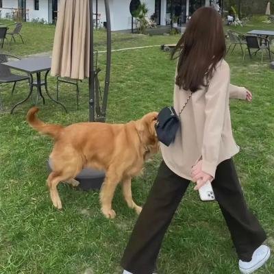 战火解密：娘子谷大屠杀